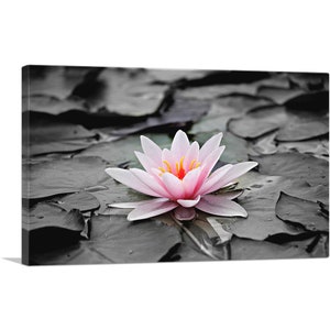ARTCANVAS Water Lily Lotus Home Decor Rectangle Canvas Art Print
