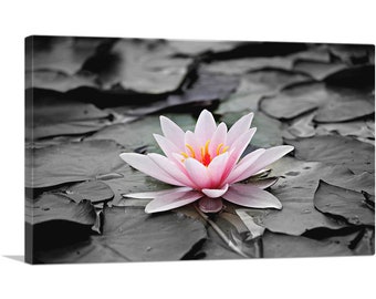 ARTCANVAS Water Lily Lotus Home Decor Rectangle Canvas Art Print