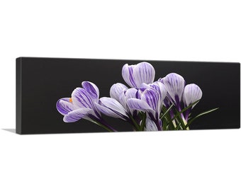 ARTCANVAS Purple Crocus Home Decor Canvas Art Print