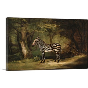 ARTCANVAS Zebra 1763 by George Stubbs Canvas Art Print