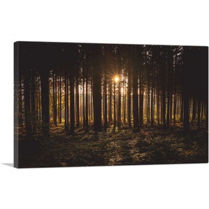 ARTCANVAS Sunset Shining Through A Thick Forest Canvas Art Print