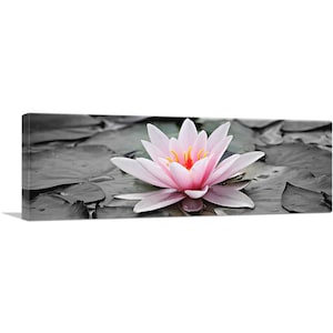 ARTCANVAS Water Lily Lotus Home Decor Panoramic Canvas Art Print