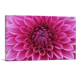 ARTCANVAS Dahlia Flower Decoración del hogar Rectángulo Lienzo Impresión artística