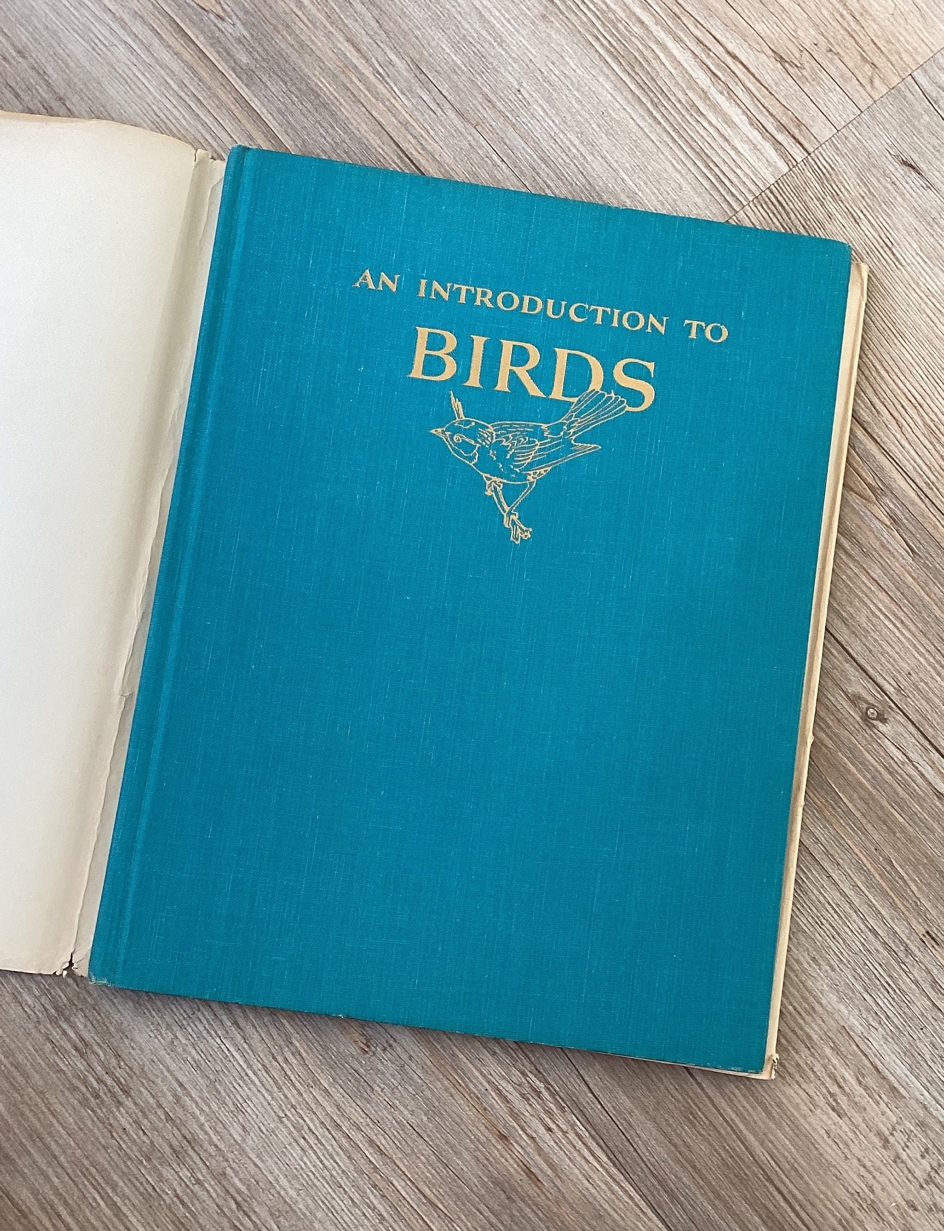Coffee table book birds 