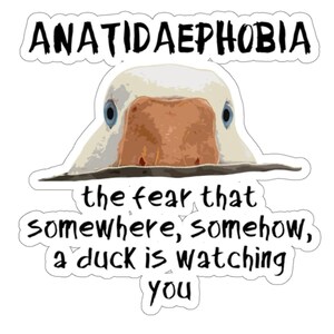 Duck Phobia, Funny Duck Sticker, Laptop Decal, Tumbler Sticker, Gift for Dad, Duck Print, Anatidaephobia, Fear of Ducks, Fear of Goose
