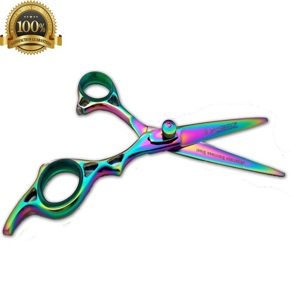 professional hair shears set