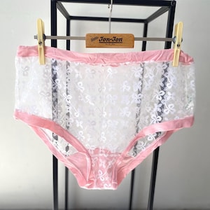 Vintage Sheer Lace High Waist Panty: 80s Pink Trim Brief - Medium