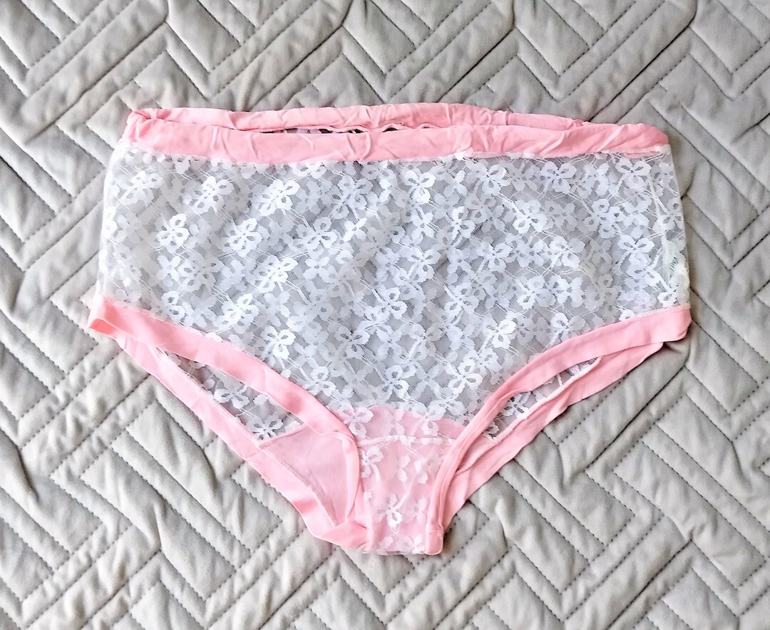 Vintage High Waist Panties Sheer Nylon Lace Panties 70s High Cut Brief