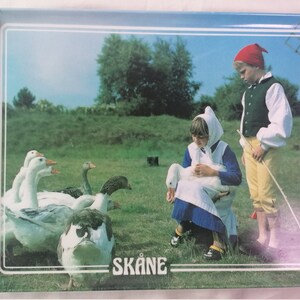 Vintage Nils Holgersson Plastic Tray: Skåne Souvenir, Made in Sweden