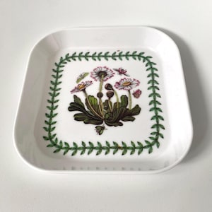 Plato cuadrado vintage de plástico Portmeirion Botanic Garden Daisy, fabricado en Inglaterra / Artículos de colección de jardines botánicos