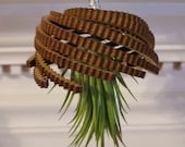 Wood Jellyfish Air Plant, Beach Decor, Upside Down hanging plant, hanging planter