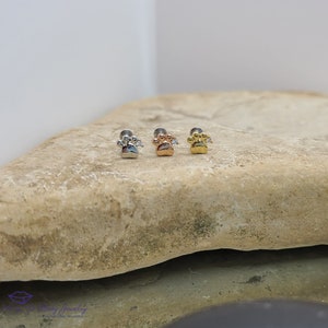 Cubic Zirconia Paw Labret - Thread less Flat Back - Ear - Cartilage Nose