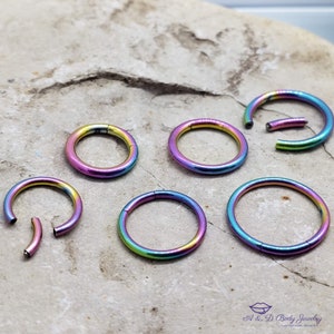 May include: Six rainbow colored seamless rings for body piercings. The rings are made of surgical steel and have a polished finish. The rings are open and have a hinged closure.