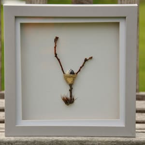 New Home Birds Nest Pebble Art / Housewarming gift, Husband Anniversary , Wedding Couple, Mothers day gift, Driftwood art