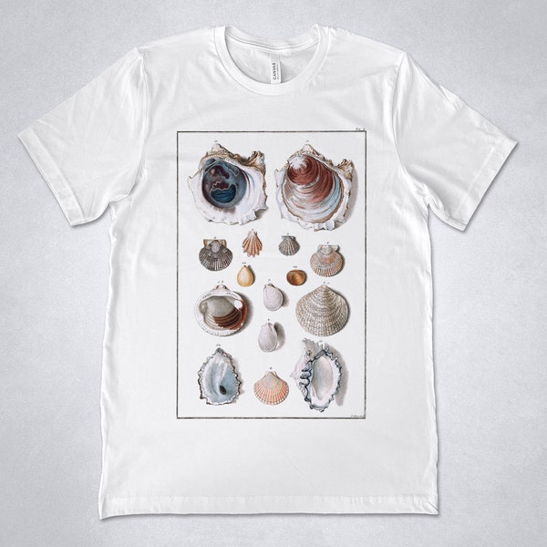 SEASHELLS Illustration shirt, Nature tshirt, Vintage seashells print, vintage graphic, Seashells t-shirt, Ocean t-shirt, Sea Shells