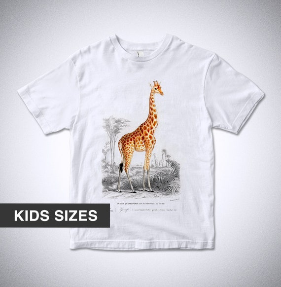 Giraffe Kids T-shirt Educational Shirt Zoology Giraffe | Etsy