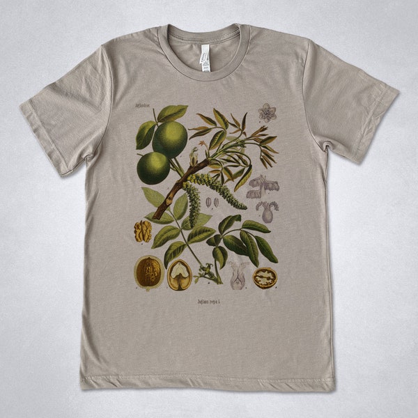 WALNUT Illustration shirt, Nature tshirt, Vintage Nut print, Walnuts shirt, Botany shirt, vintage graphic, Vegan shirt, Walnut t-shirt