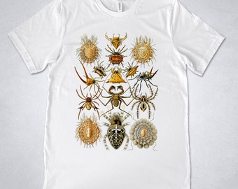 Ernst Haeckel t shirt - Arachnida (Spin), Art Forms of Nature - 1904, Spider t shirt, Insect t shirt, Vintage Spiders shirt print