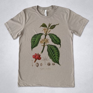COFFEE Plant shirt, Coffea Arabica t-shirt, Coffee t-shirt, Vintage Coffee print,botanical shirt, Coffee lover gift, Coffee illustration