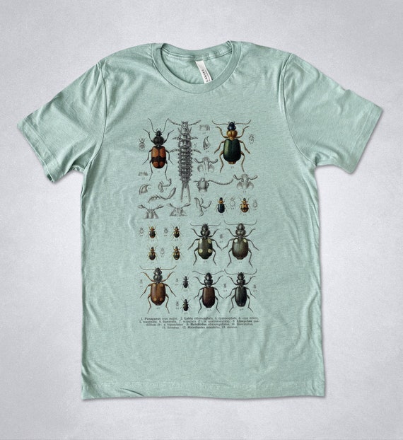 Minibeasts T-Shirt With Insects Minibeasts T-Shirt With Insects