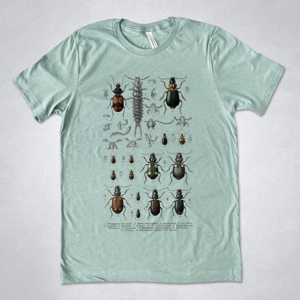 Beetles t-shirt, Insects tshirt, Vintage Insects print, Bugs t-shirt, Entomology shirt, vintage graphic, Coleoptera, Beetle shirt