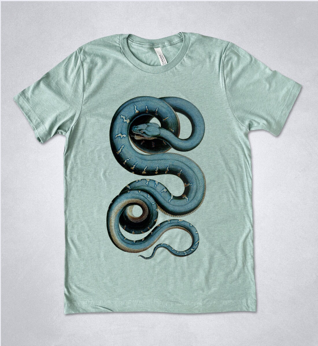 【oan】Rette Snake Vintage Washing Short Sleeve T-Shirt il_fullxfull.4466038027_qn6b.jpg