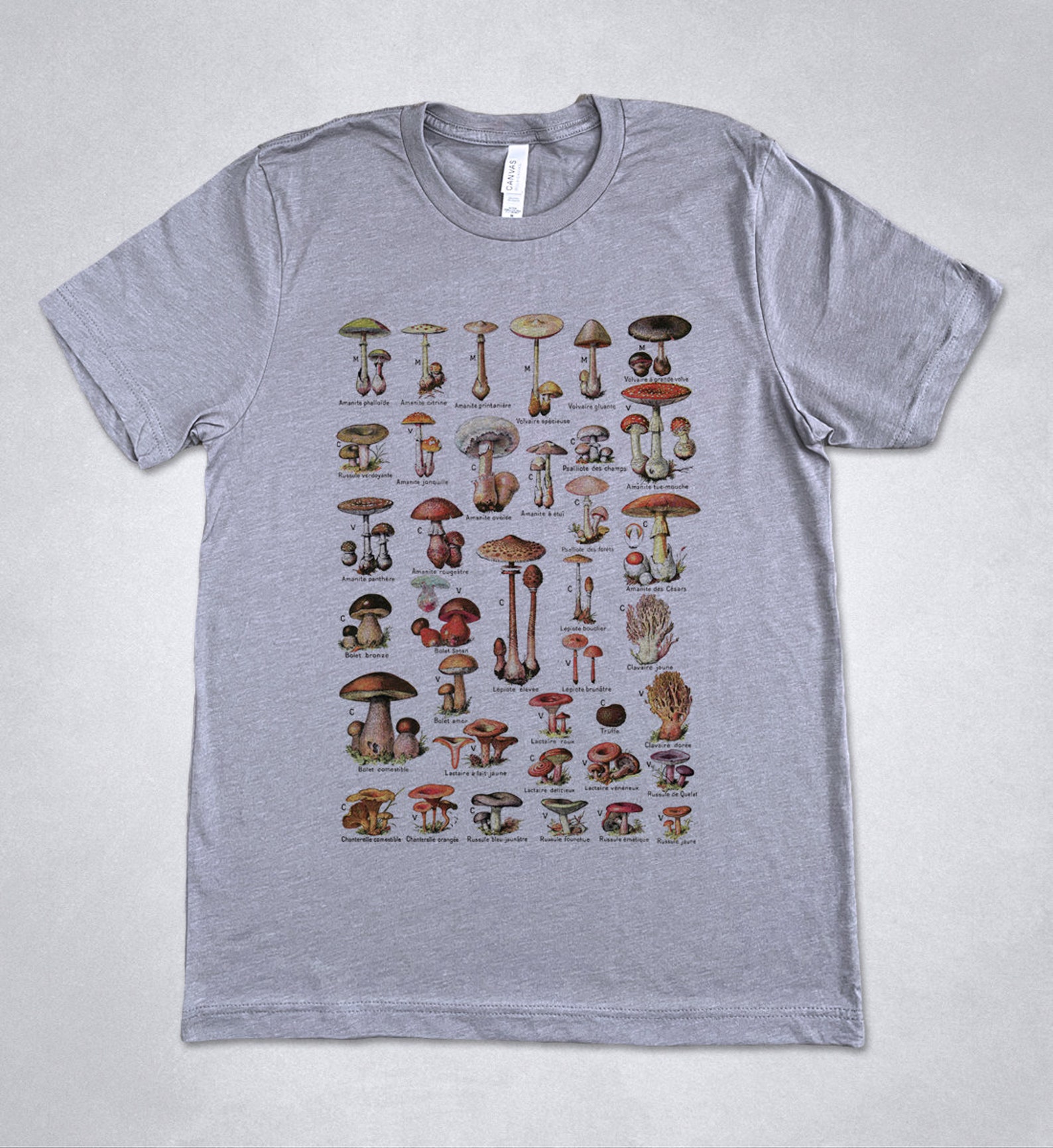 MUSHROOMS Illustration Shirt, Nature Tshirt, Vintage Mushrooms Print ...