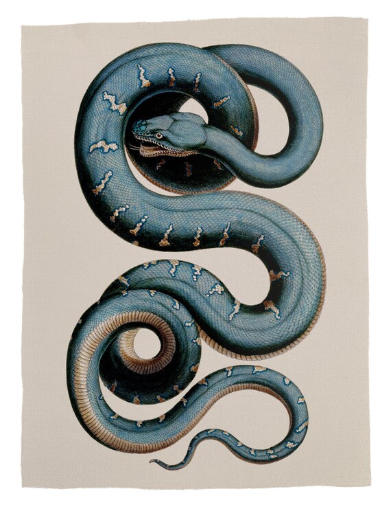 Emerald Tree Boa Back Patch, Snake Back Patch, Vintage Boa Snake  