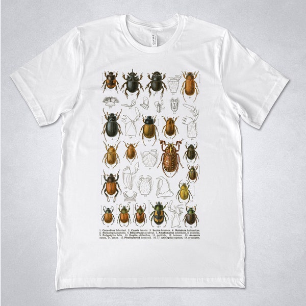 Beetles Illustration shirt, Insects tshirt, Vintage Insects print, Bugs t-shirt, Entomology shirt, vintage graphic, Coleoptera, Beetle shirt