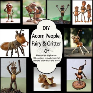 DIY Kit for making Acorn People, Forest Folk, and Critters, ALL NATURAL materials No instructions, imagination required