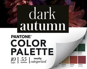 Dark Autumn Color Palette Fan - Etsy