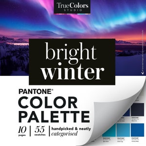 Bright Winter Color Palette Clear Winter Colour Swatch Wardrobe Color Swatches Bright Winter Digital Color Fan
