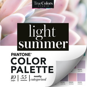 Light Summer Color Palette Light Summer Colour Swatch Wardrobe Color Swatches Light Summer Digital Color Fan
