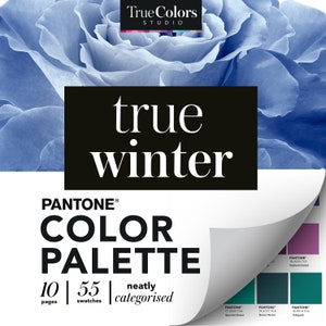 True Winter Color Palette Cool Winter Colour Swatch Wardrobe Color Swatches True Winter Digital Color Fan