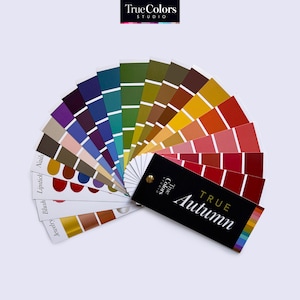 Vero ventaglio di colori autunnali Ventaglio di colori autunnali caldi per lo shopping