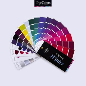 Äkta vinterfärgpalettfläkt för shopping