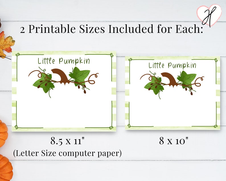 Op de afbeelding: Twee afdrukbare formaten van een afdrukbare kaart met een ontwerp van een groene wijnstok en een pompoen. De tekst "Little Pumpkin" staat bovenaan de kaart. De kaart is 8,5 inch bij 11 inch en 8 inch bij 10 inch.