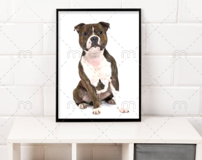 Staffordshire Bull Terrier, Animal Art, Cross Stitch Pattern, PDF Instant Download