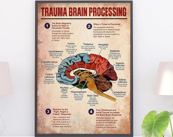 Trauma Brain Processing Knowledge Poster, Brain Anatomy Art, Psychologist Guidance, Trauma Therapy, Brain Wall Art, Mental Heath Art Print