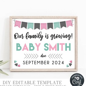 Editable Our Family is Growing Pregnancy Announcement Sign, New Baby Pregnancy Reveal, Photo Prop Printable, Baby Reveal, DIY w/Corjl - G140