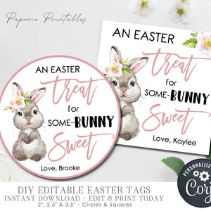 EDITABLE Easter Gift Tags - Easter Cards - Easter Treats Tags - An Easter Treats for Some-Bunny Sweet Tags - DIY Editable Easter Cards-#ET02