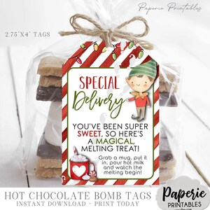 Elf Special Delivery Hot Chocolate Bomb Tags (Instant Download)