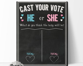 Cast Your Vote Gender Reveal Party Sign – HE or SHE Gender Reveal Sign – Gender Predicting – Printable – Baby Reveal - Blue & Pink -