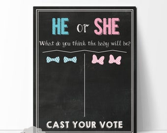 Cast Your Vote Gender Reveal Party Sign – HE or SHE Gender Reveal Sign – Gender Predicting – Printable – Baby Reveal - Blue & Pink -