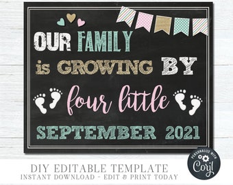 Twins Pregnancy Announcement Chalkboard Photo Prop (Digital Download) #G139