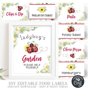 EDITABLE Ladybug Birthday Party Food Tents, Ladybug Food Labels, Ladybug Birthday Food Labels, Ladybug Decorations, DIY Corjl #BP118