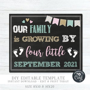 Twins Pregnancy Announcement Chalkboard Photo Prop (Digital Download) #G139