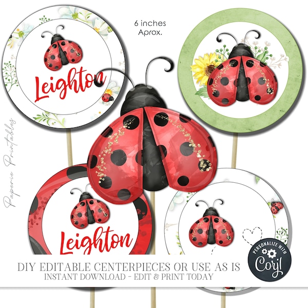 EDITABLE Ladybug Party Decorations, LadyBug Birthday Centerpieces or Photo Props, Ladybug Birthday Party Decorations - DIY Corjl - #BP118