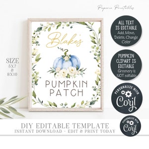Editable Boy Pumpkin Party Signs - Little Pumpkin Party Signs - Boho ...