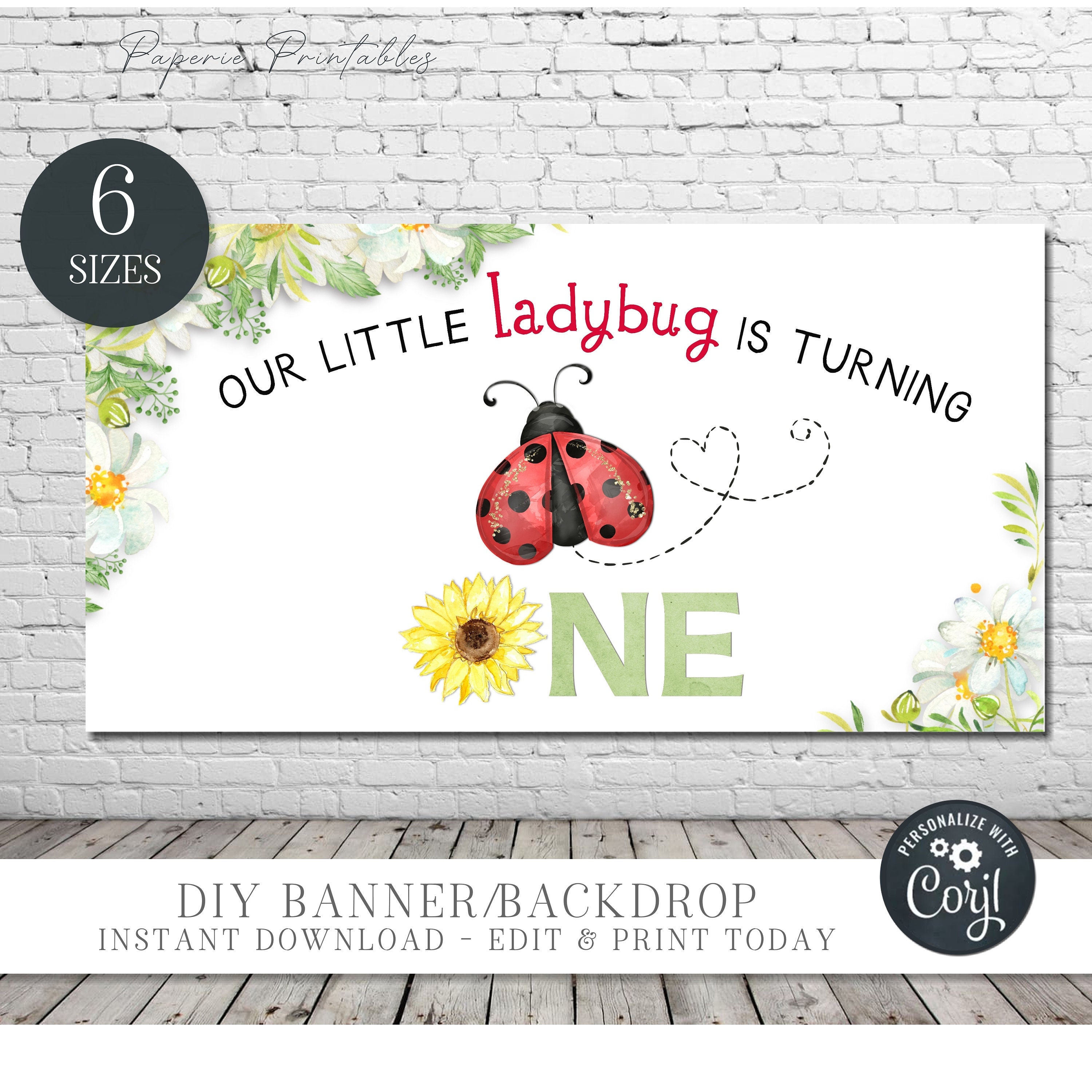 Lady Bug Hero SVG and PNG File Download – The Salty Yankee